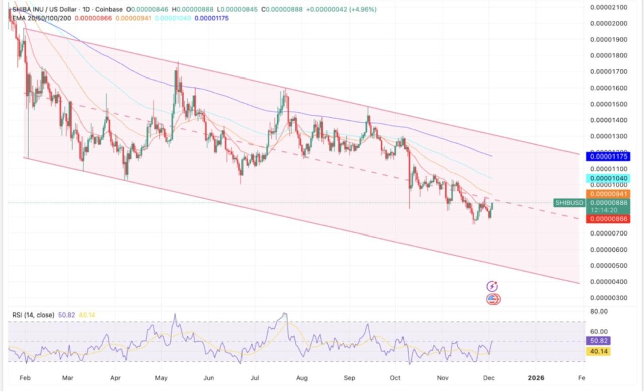 Shiba Inu Price Prediction While DeepSnitch AI is Approaching M Raise Shiba Inu Price Prediction While DeepSnitch AI is Approaching M Raise