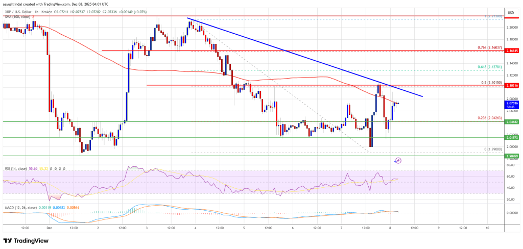 XRP Price Struggles at Resistance With Signals Hinting at a Possible New Decline XRP Price Struggles at Resistance With Signals Hinting at a Possible New Decline