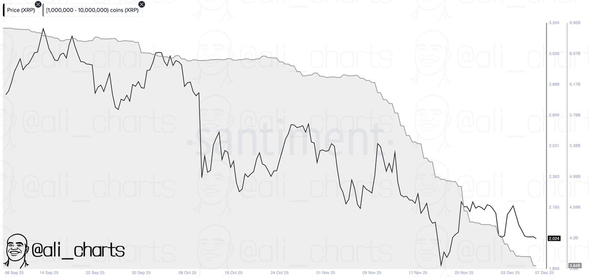 XRP Selloff: Whales Shed Coins Worth  Billion In A Week
