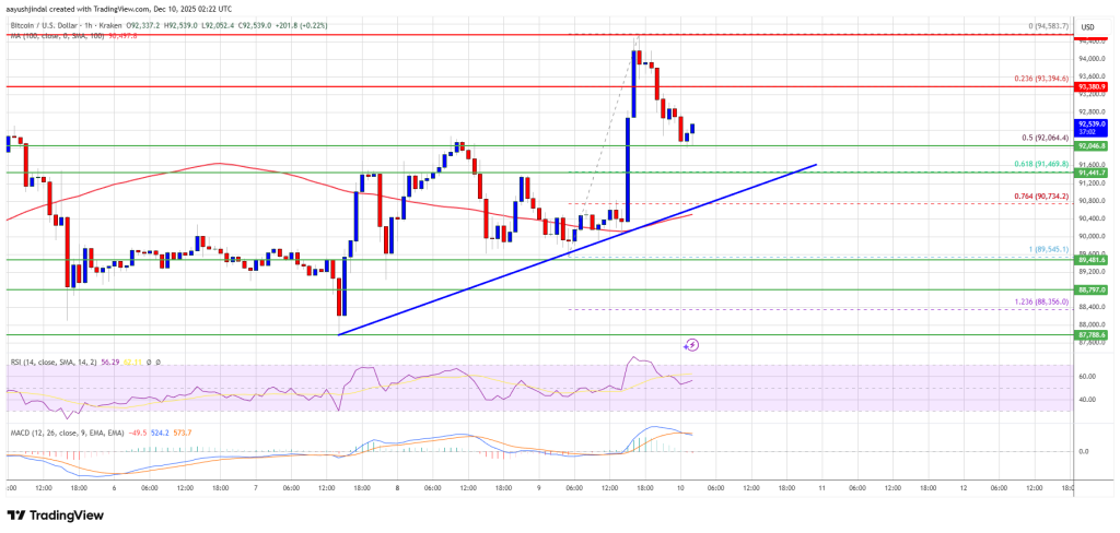 Bitcoin Price Shows Fresh Strength—Could This Spark a Rapid Rally?