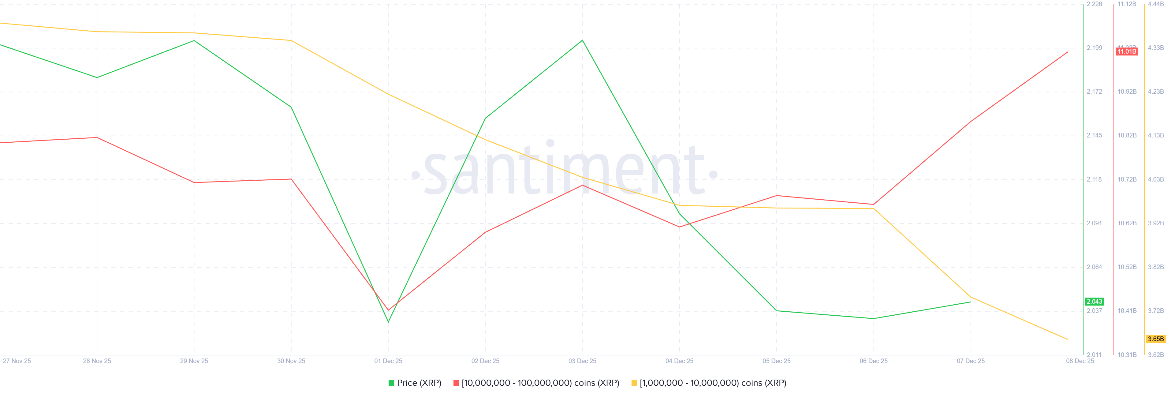 350 Million XRP Changes Hands as Bigger Whales Take Over Amid Price Downtrend 350 Million XRP Changes Hands as Bigger Whales Take Over Amid Price Downtrend