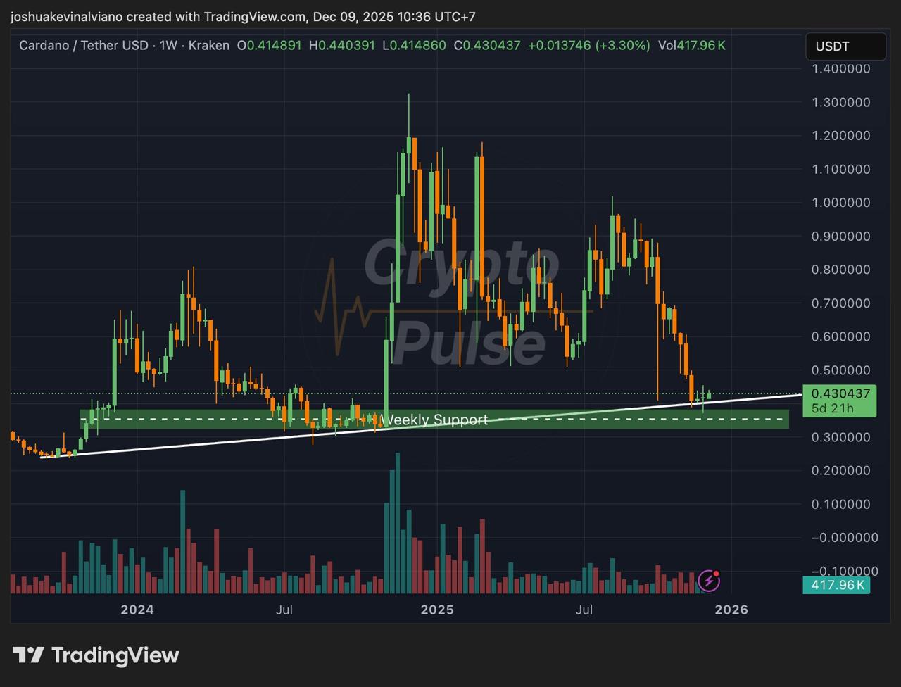 Tapzi Emerges as Best Altcoin to Buy Now While Bitcoin Outlook Tightens and Cardano Retests Support