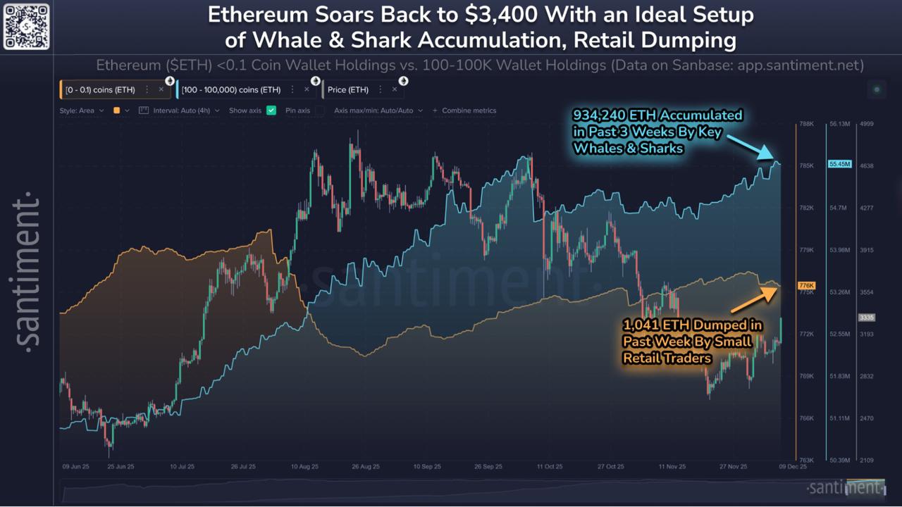 Next Big 1000x Crypto: AVICI, CARDS, and DeepSnitch AI the Biggest Upside Now