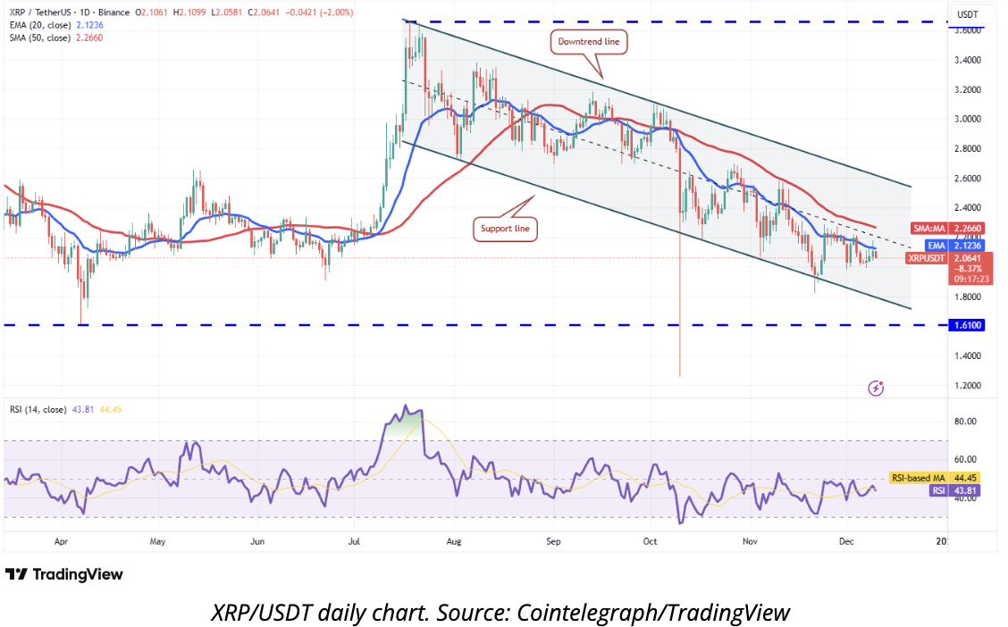 Best Cryptos to Buy: Top 3 Altcoins to Buy Before Christmas 2025 