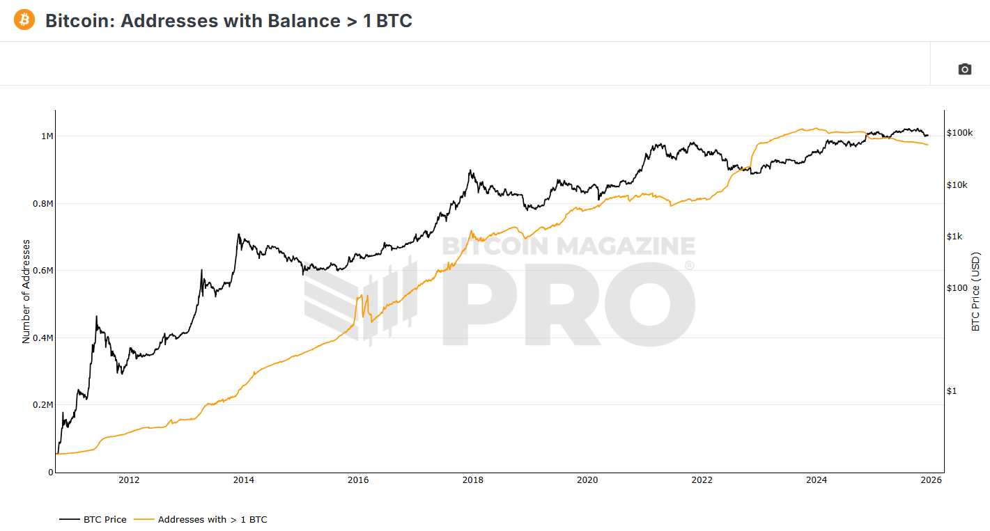 Wholecoiner activity on Binance shows signs of slowing