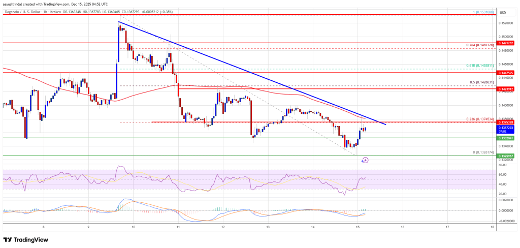 Dogecoin (DOGE) Slides Deeper Into Red—Is a Bottom in Sight?