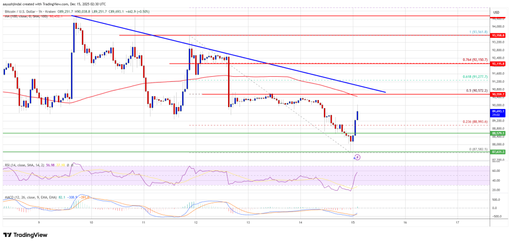 Bitcoin Price Faces Growing Heat—Is Momentum Turning Against Bulls?