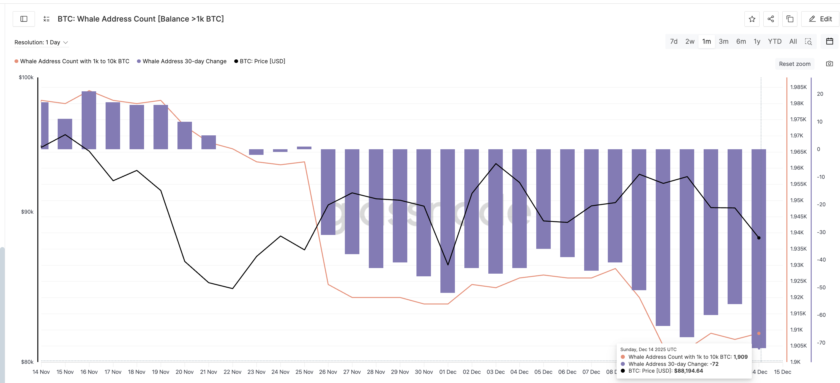 Bitcoin Loses Whale Support? Yet History Shows the Price Can Still Rise