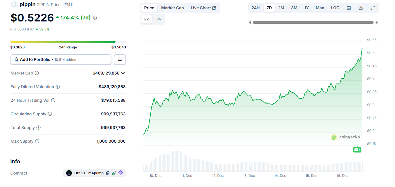 PIPPIN rallies to new price record as activity heats up on Raydium
