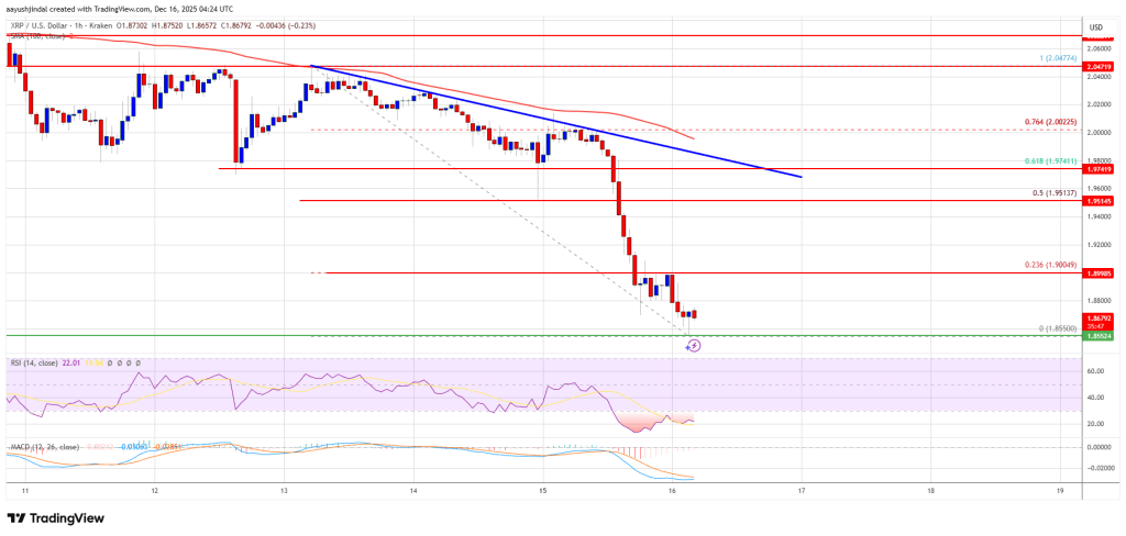 XRP Price Suffers Sharp 5% Drop—Is More Pain Ahead?