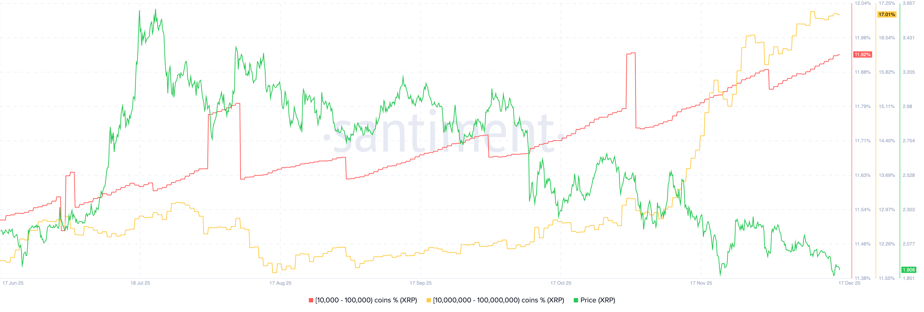 Ripple Price Forecast: XRP losses deepen despite signs of growing institutional and whale interest