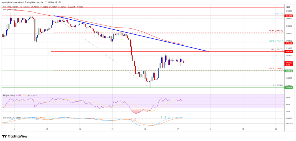 XRP Price Recovery Looks Fragile—Can Bulls Break the Cap?
