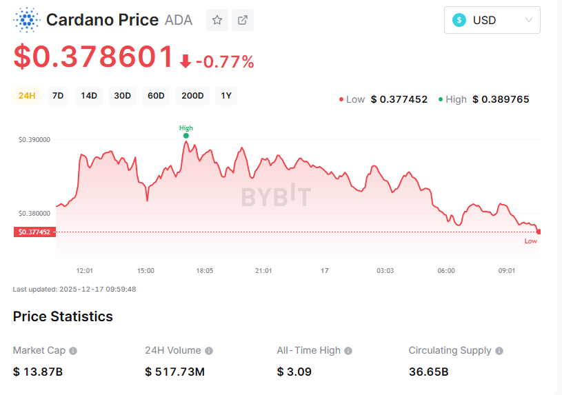 Best Altcoins to Buy Now Before Christmas: Altcoin Market Heats Up