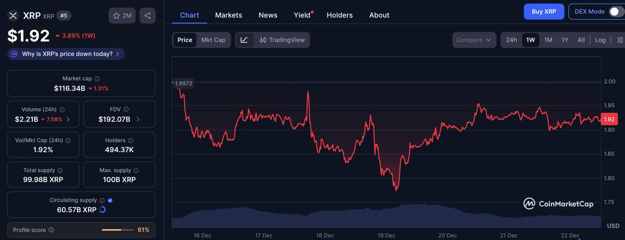 DeepSnitch AI Bonus: XRP And BNB Face Pressure As 100% Bonus Expires Soon