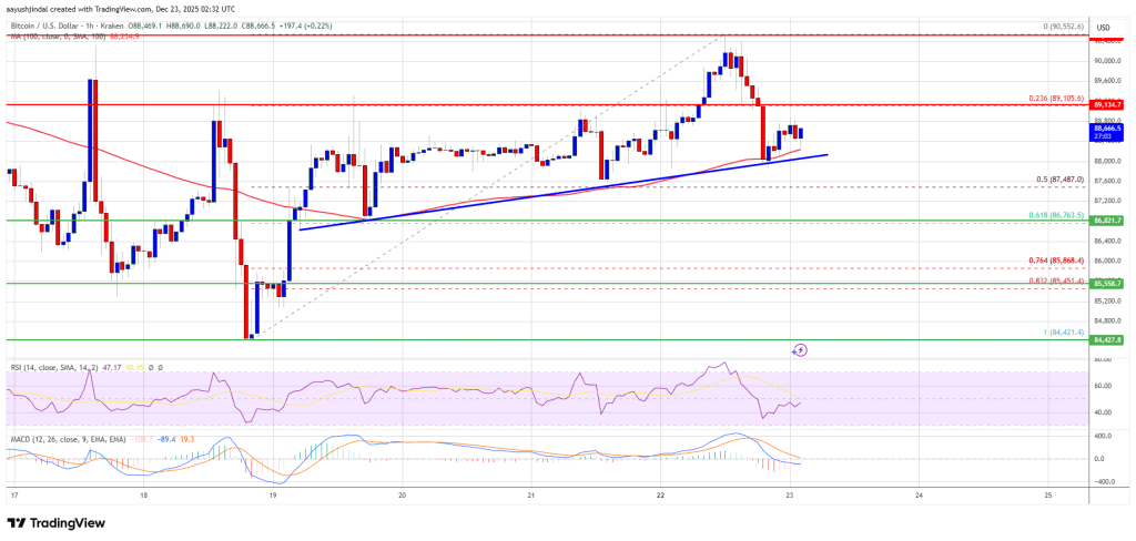 Bitcoin Price Holds Firm, Upside Extension Now in Trader Focus