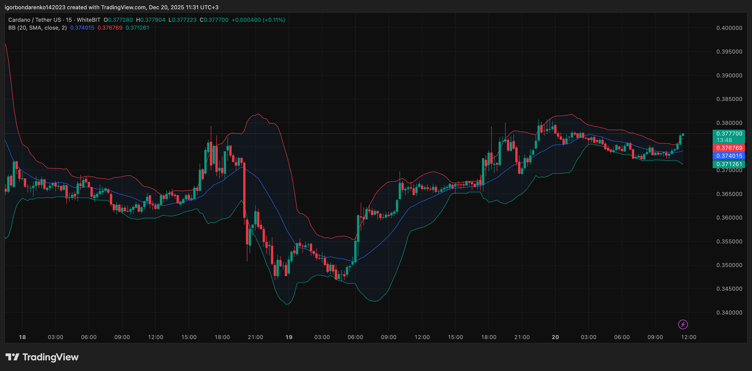 Next Crypto to Explode: Top 3 Altcoins With Strong Whale Activity