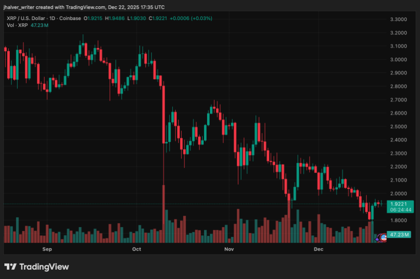 XRP Price Holds Key Support While Traders Weigh Breakout Odds and Downside Risk