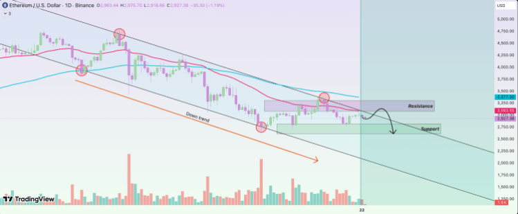 Reasons Why The Ethereum Price Will Continue To Crash Reasons Why The Ethereum Price Will Continue To Crash