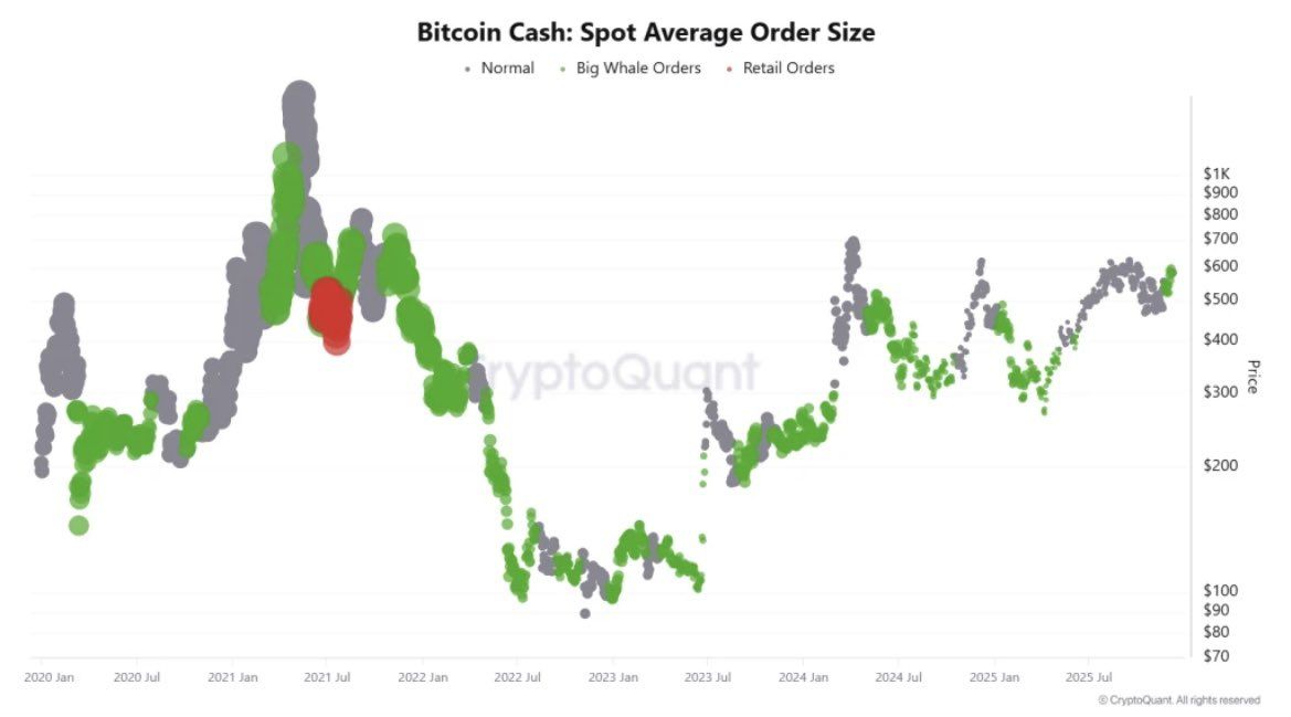 What Factors Could Trigger a Strong Breakout of Bitcoin Cash (BCH) Soon?