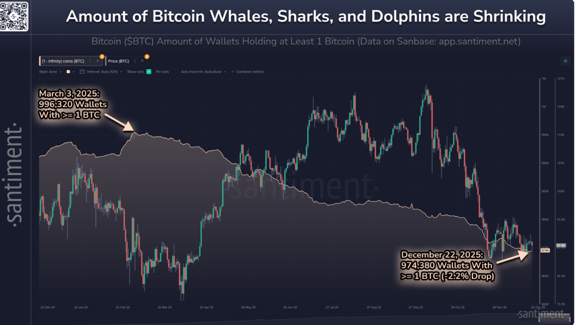 Bitcoin Price Forecast: BTC slips below ,000 as ETF outflows intensify, whale participation declines