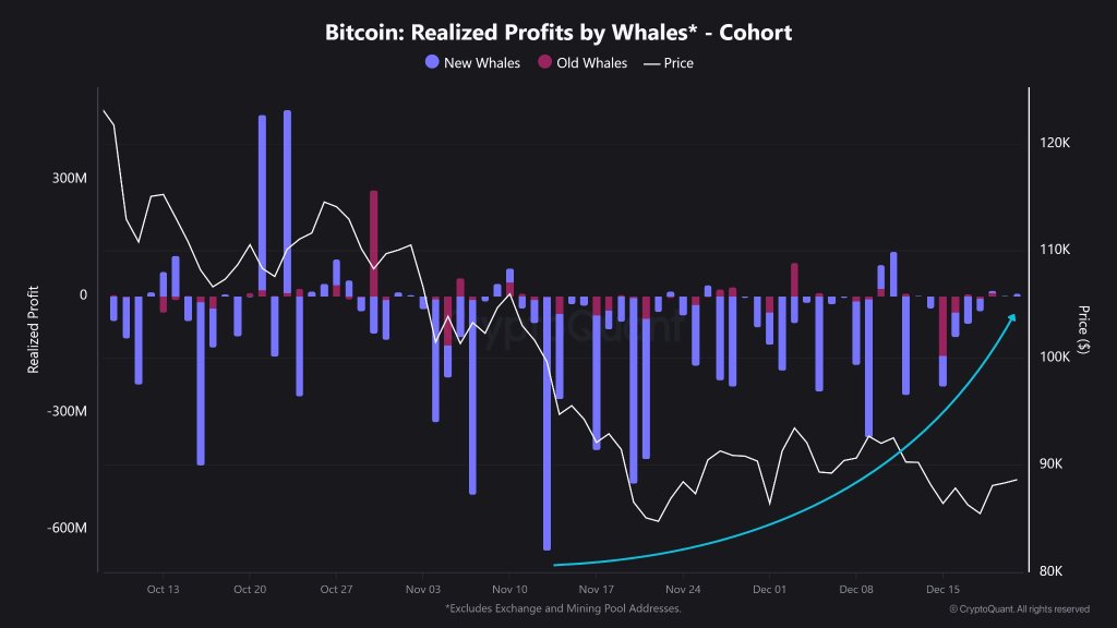 Bitcoin Whales Go Quiet On Binance As Inflows Collapse: Supply Shock Setup?