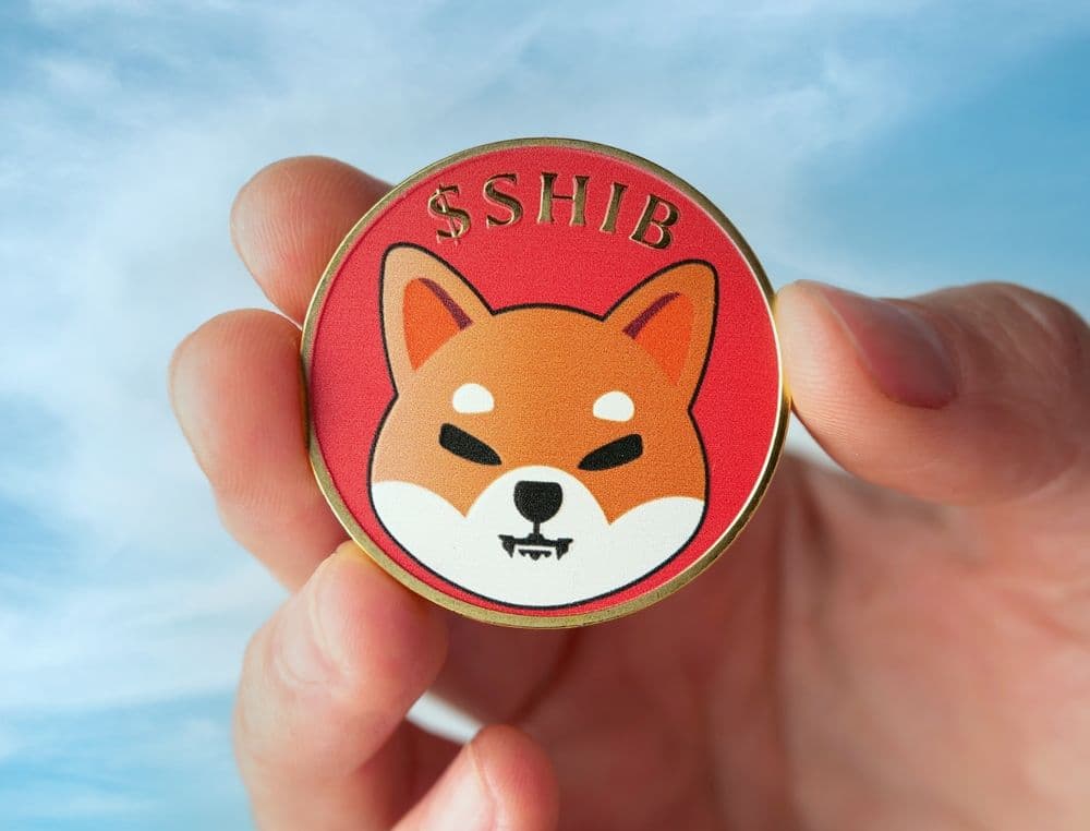 Shiba Inu Holders Withdraw 125B SHIB From Exchanges As Price Falls 14% In December
