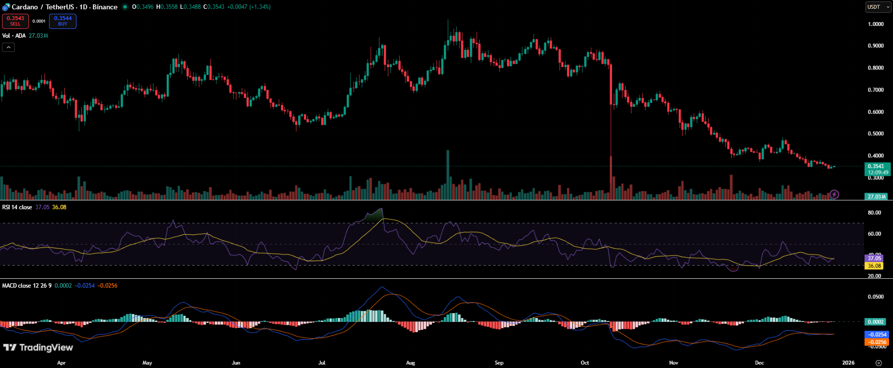 Why XRP and Cardano Are Being Challenged in Crypto’s Next Phase Why XRP and Cardano Are Being Challenged in Crypto’s Next Phase