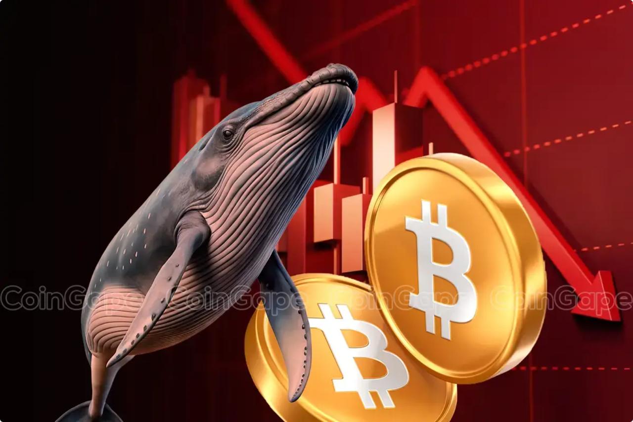 3 Reasons Whales Are Swapping k Bitcoin Profits for Digitap ($TAP) Today