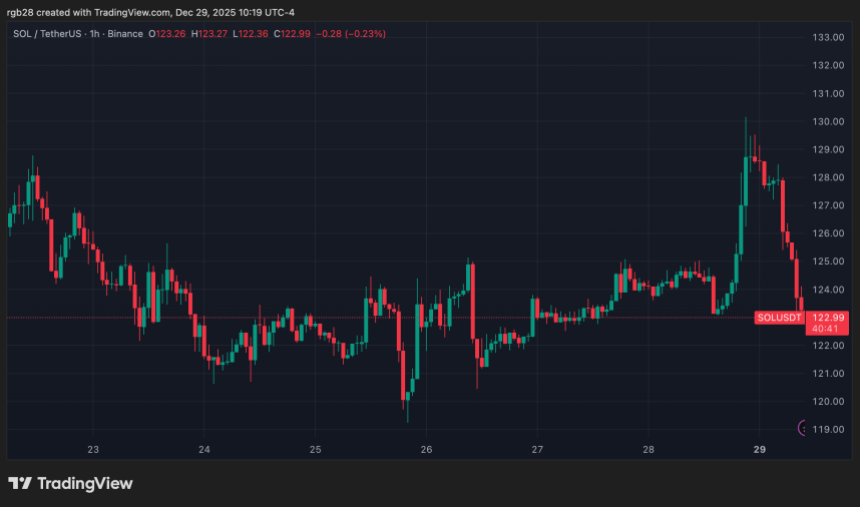 Solana Bearish Formation Hints At Major Correction Until Mid-2026 – Here’s The Target
