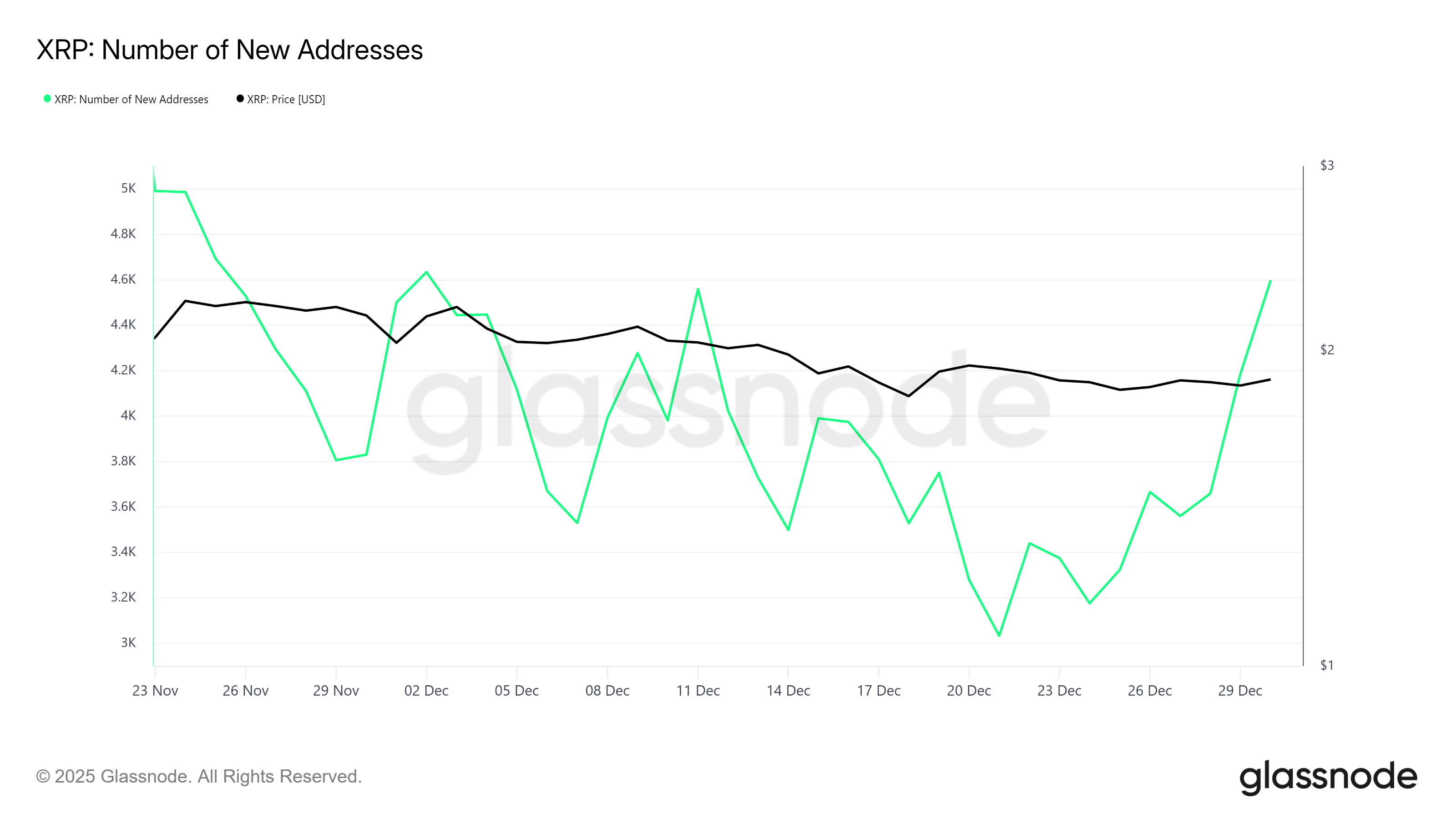 XRP Sees New Address Growth, But Price Still Struggles Below 