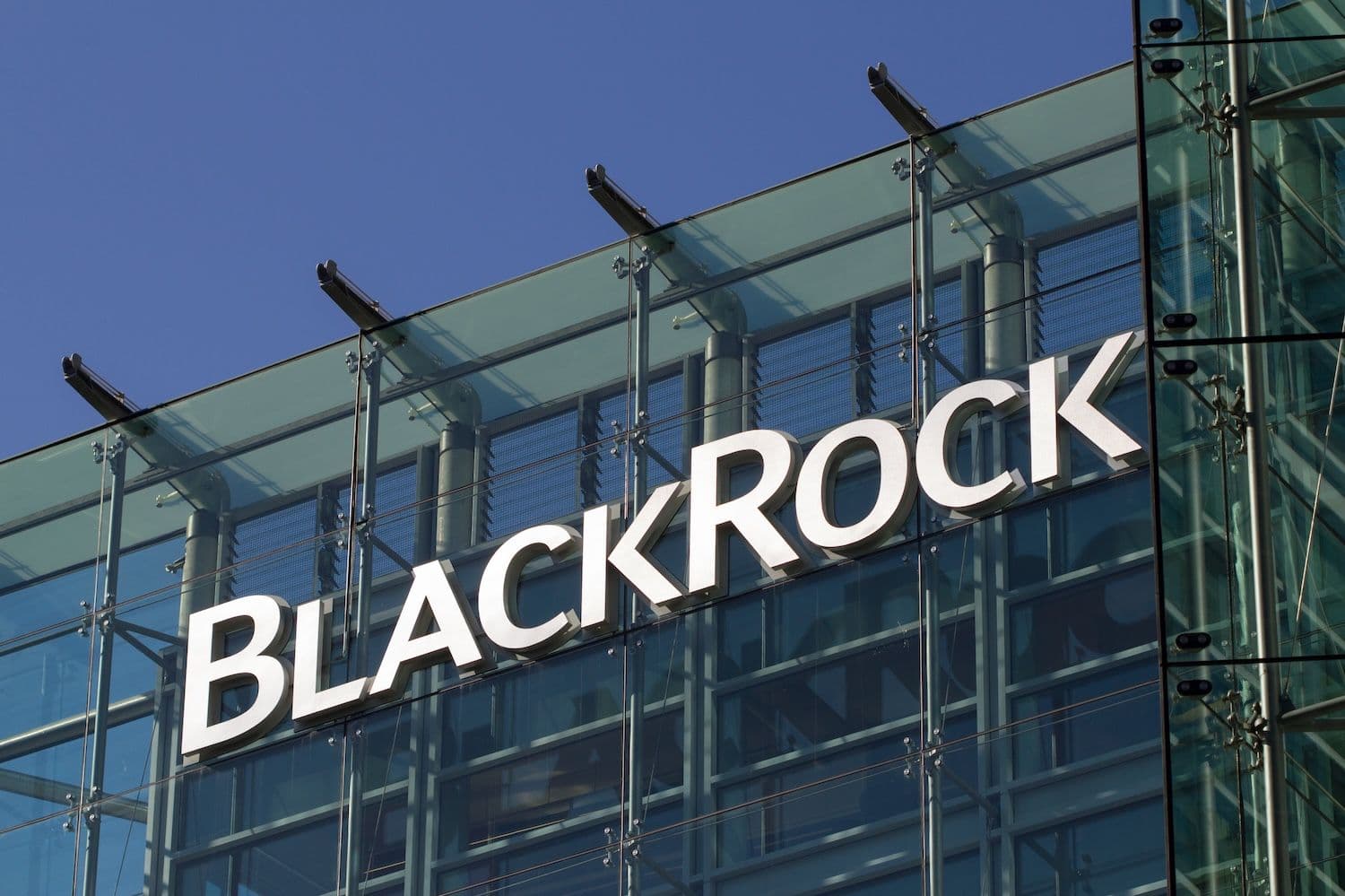 BlackRock Bitcoin And Ethereum Portfolio Expanded By $23 Billion In 2025