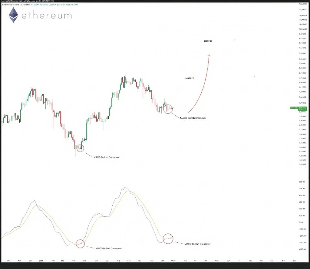 Ethereum Targets ,800 as New Crypto Coin at <img.04 Wows Investors