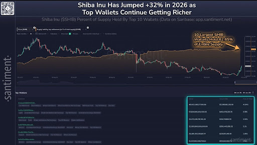 Here’s Why The Shiba Inu Price Jumped Over 13%