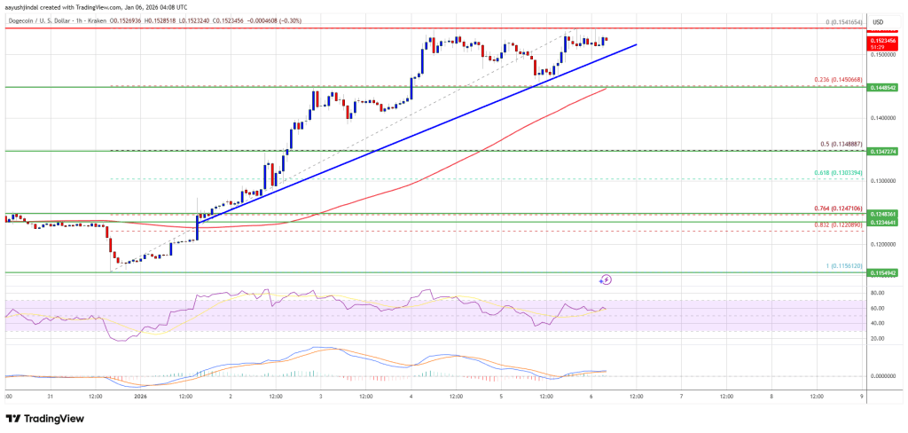 Dogecoin (DOGE) Rally Isn’t Fading Yet—Here’s What’s Keeping It Alive Dogecoin (DOGE) Rally Isn’t Fading Yet—Here’s What’s Keeping It Alive