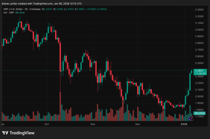XRP Leads Market Rally with 12% Surge: What’s Driving the Spike?