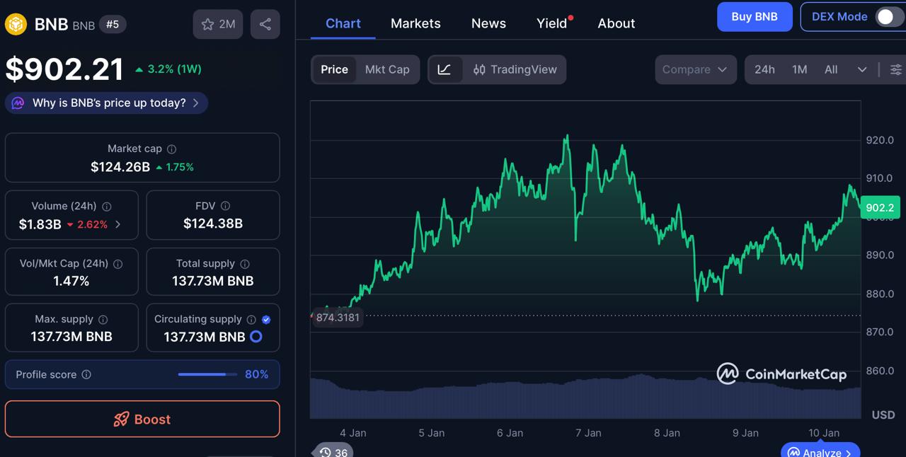 BNB Made Millionaires – Can DOGEBALL Be The Next 1000x Crypto Breakout?