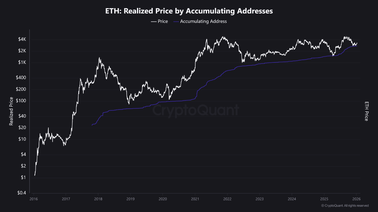 Ethereum Long-Term Cost Basis Holds Firm: Structural Floor Forms Near .8K