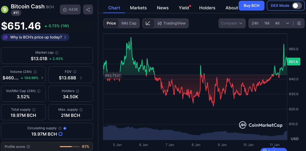 Bitcoin Cash vs HYPE vs DOGEBALL – Which Top Crypto Holds The Highest ROI Potential In 2026