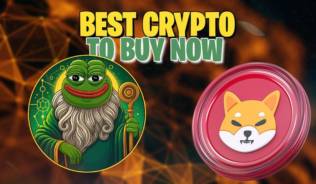 0 in Pepeto vs 0 in SHIB: Which Could Build a Real Portfolio in 2026?