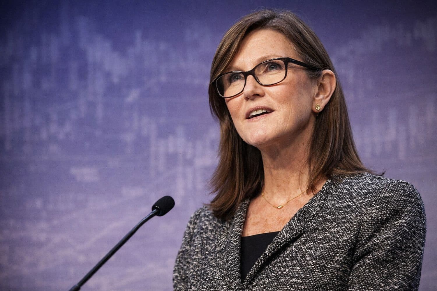 Cathie Wood Says U.S. Economy Is A 'Coiled Spring' As AI And Crypto Drive A New Productivity Cycle