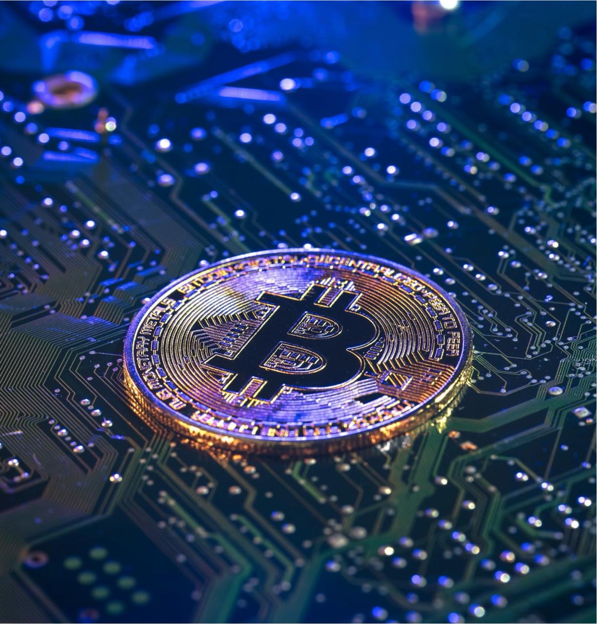 Can Digitap ($TAP) Reach  Before BTC Breaks 0k in the Best Crypto to Buy 2026 Race