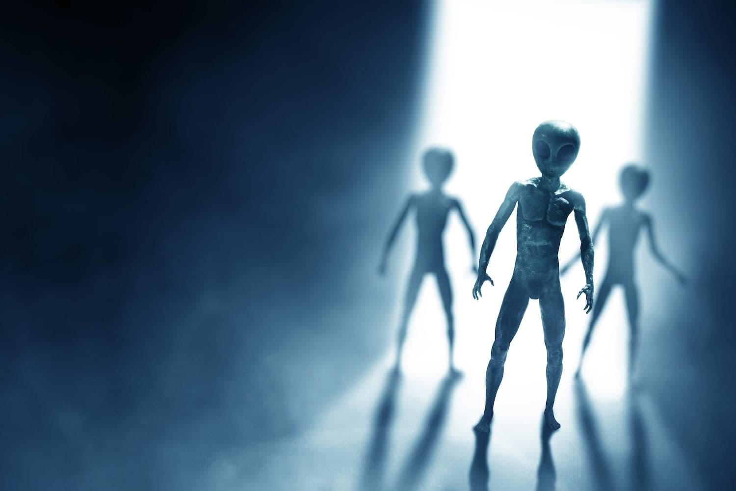 What Would Happen To Markets If Aliens Were Real? Bank Of England Veteran Weighs In