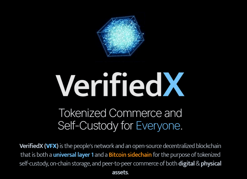 VerifiedX (VFX) Launch, Roadmap, and Token Insights