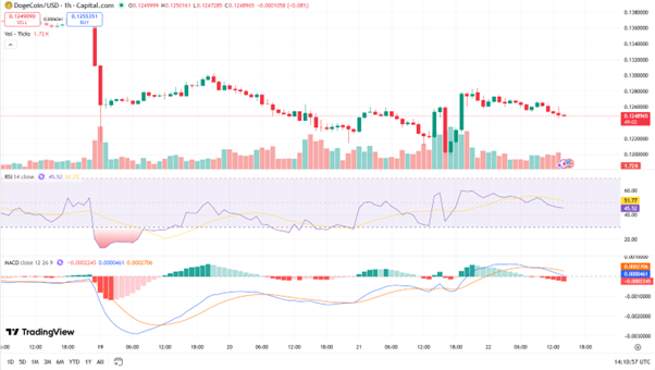 Dogecoin Price Forecast: Long-Term Fractal Signals Potential  Expansion Cycle