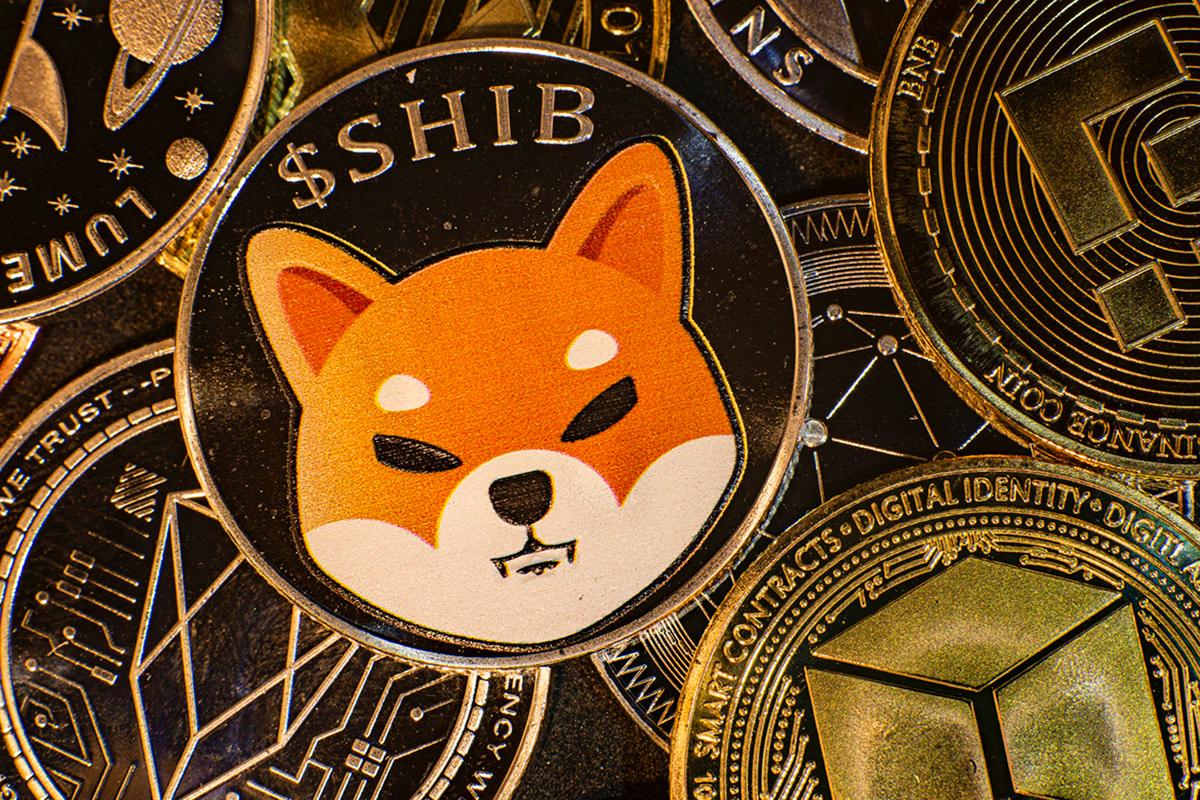 Next Big Crypto Spotlight Shifts To ZKP Crypto’s Daily 190M Token Presale Auction As SHIB and DOT Trade Flat