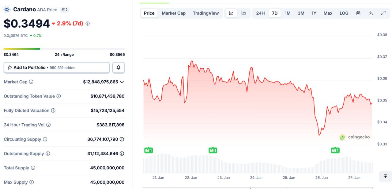 ZKP Takes the Lead Over Cardano and Ethereum With Explosive Adoption