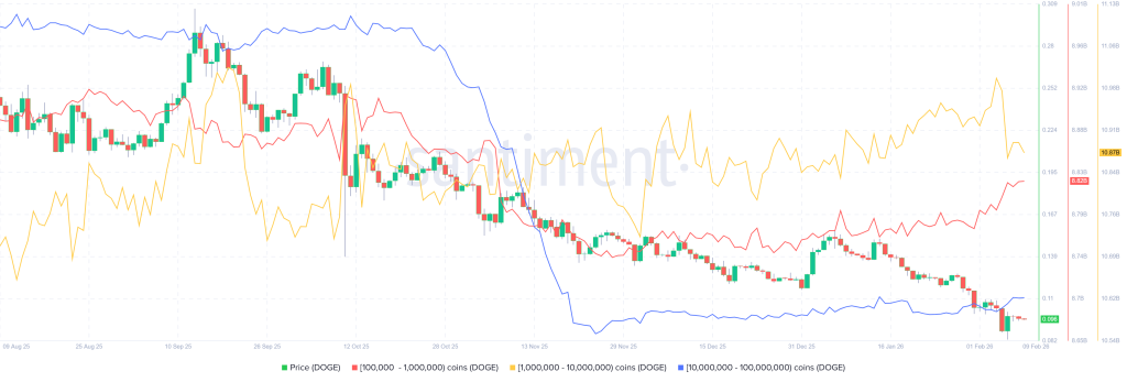 DOGE Whales are Accumulating: Reversal Coming for Dogecoin Price?