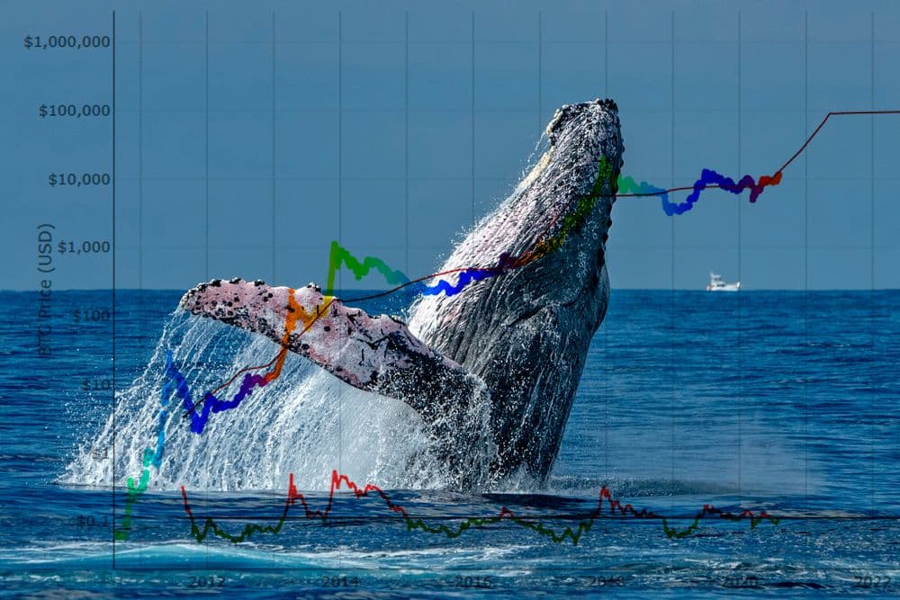 'Satoshi Whale' Wallet Drains 80% Of Holdings In Weeks, Routing Thousands Of BTC To Coinbase