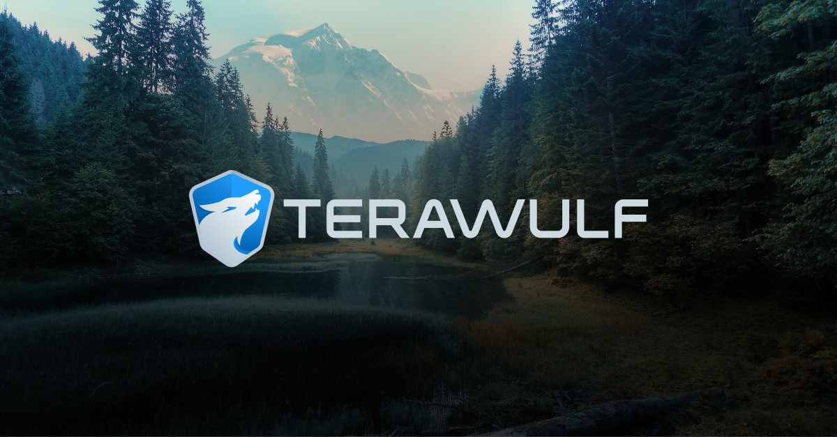 TeraWulf Misses Estimates as Bitcoin Slump Weighs on Q4 Results