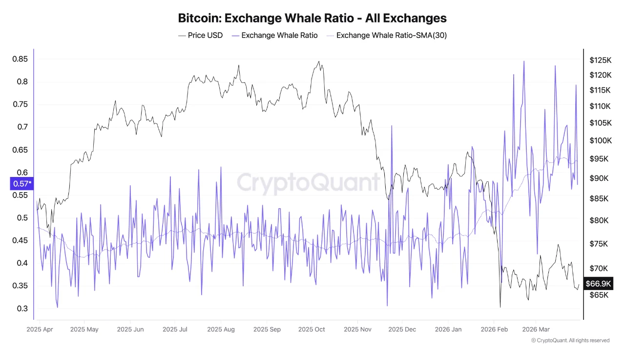 Bitcoin Climbs Above ,300 as Trump Claims Iran Accepted Most of the Peace Plan